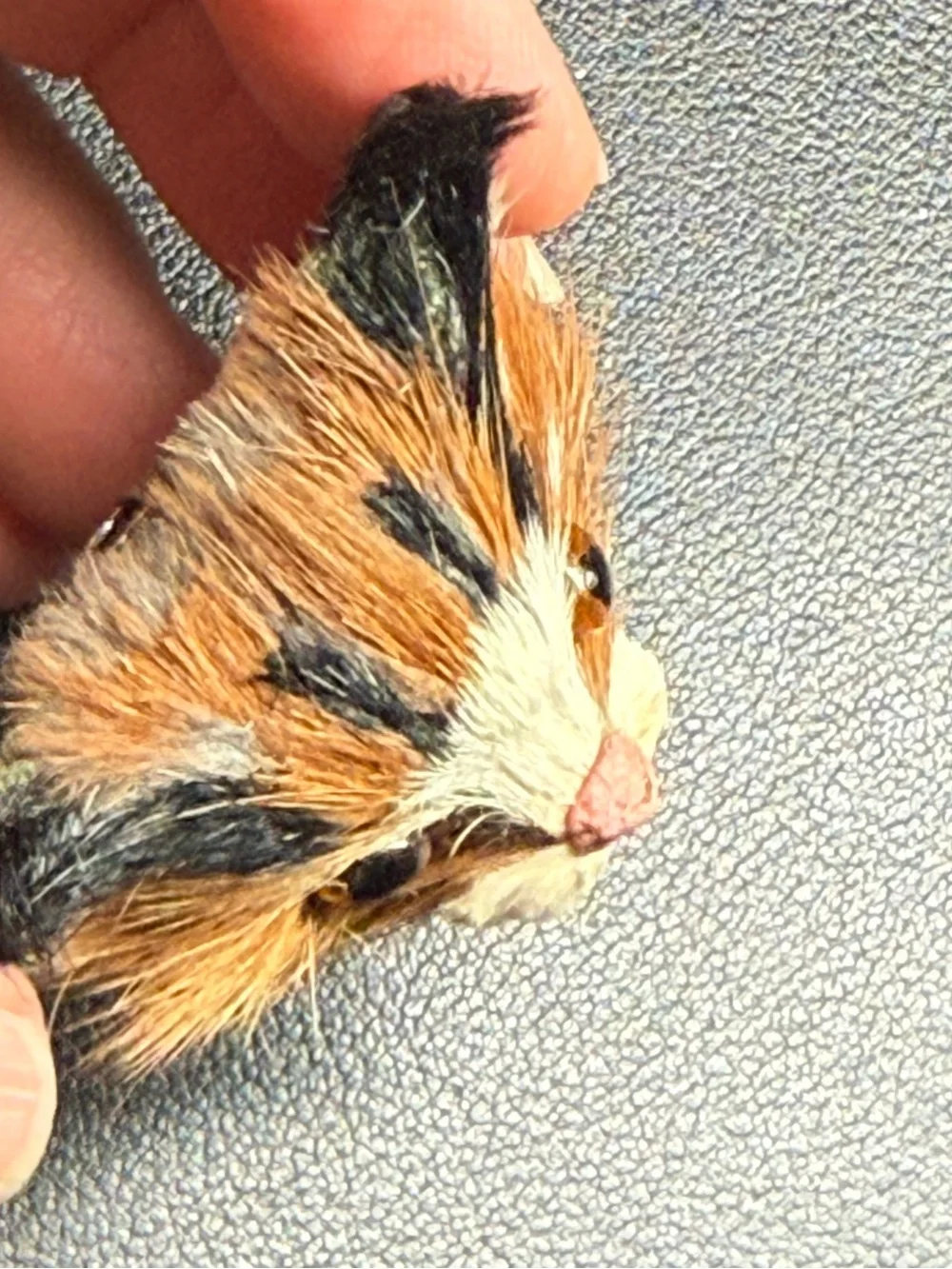 Vintage 1970s 3D Cat Head Pin Brooch Hand Made 2